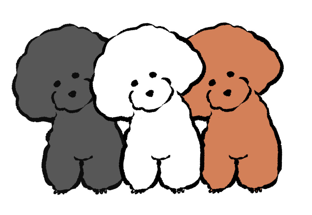 3頭のトイプードルのイラスト